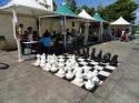 Echecs_1.jpg