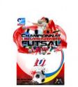 Affiche_CAU_Futsal_2012_1.jpg